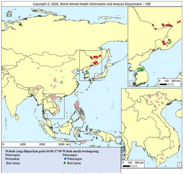 AN46 Fig3 Indo